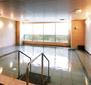 デュオセーヌ東京ジャイアンツタウン 温泉大浴場(人工)